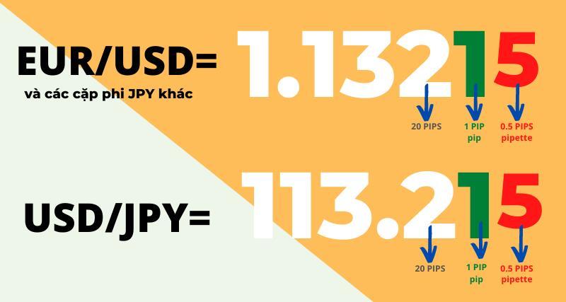 Pip trong Forex là gì? Cách tính giá trị pip trong Forex chính xác nhất